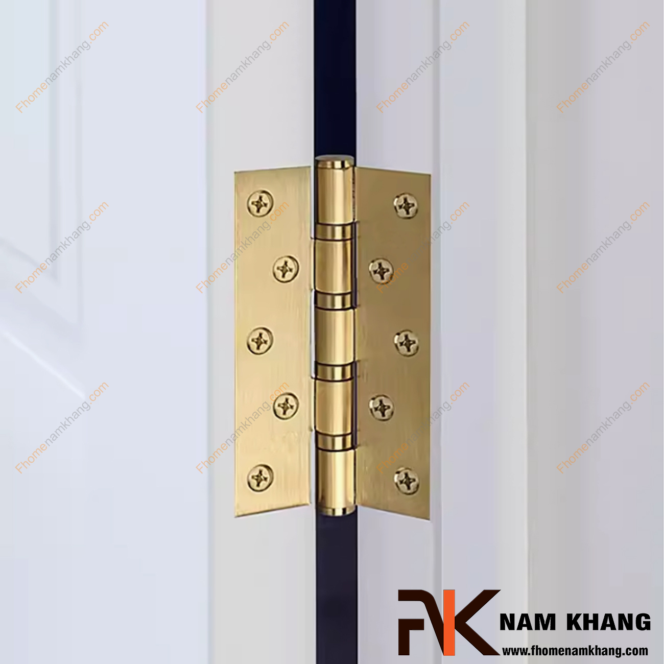 ban le la dong la gi cau tao va cong dung trong cua fhomenamkhang1